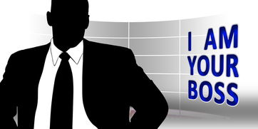 开云体育官网app-主教练更替后球队传控风格是否立刻改变，球队主教练的职责  第1张