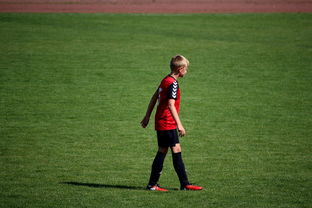 kaiyun网址-国际排联调整赛制 新赛季竞争更激烈，国际排联最新排名  第2张